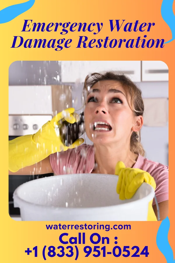 Emergency Water Damage Restoration in Macon, NC