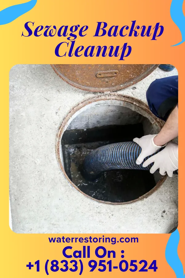 Sewage Backup Cleanup in Macon, NC